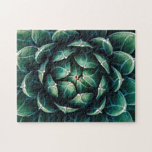 Groen en wit Succulent Legpuzzel (Horizontaal)
