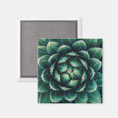 Groen en wit Succulent Magneet (Voorkant / Achterkant)