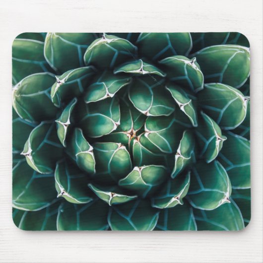 Groen en wit Succulent Muismat (Voorkant)