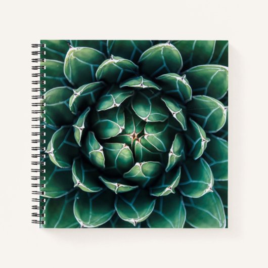 Groen en wit Succulent Notitieboek (Voorkant)