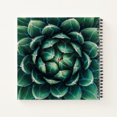 Groen en wit Succulent Notitieboek (Achterkant)