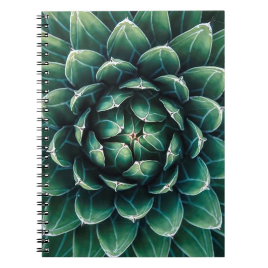 Groen en wit Succulent Notitieboek (Voorkant)