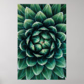 Groen en wit Succulent Poster (Voorkant)