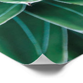 Groen en wit Succulent Poster (Hoek)