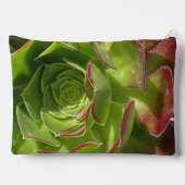 Groen Etui (Achterkant)