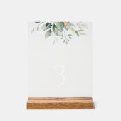 Groen, Eucalyptusbladeren, Doop Tafel Nummers Acryl Bord (Voorkant)