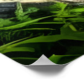 Groen fantasiebeest in het bos | AI Art Poster (Hoek)