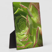 Groen Fotoplaat (Zijkant)