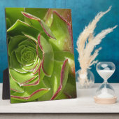 Groen Fotoplaat (Zijkant)