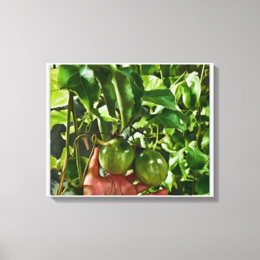 Groen Fruit Canvas Afdruk (Voorkant)