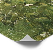 Groen Gebied Grote  Olie Poster (Hoek)