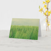 Groen gebied kaart (Gele Bloem)