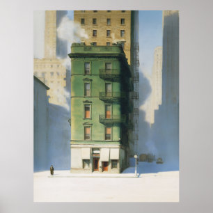 Groen gebouw in New York Winter Poster