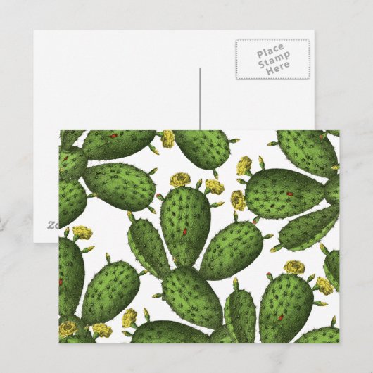 Groen Geel Bloemen Cactus Patroon Briefkaart (Voorkant / Achterkant)