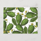 Groen Geel Bloemen Cactus Patroon Briefkaart (Voorkant)