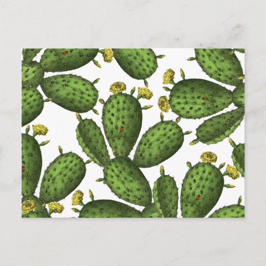 Groen Geel Bloemen Cactus Patroon Briefkaart (Voorkant)