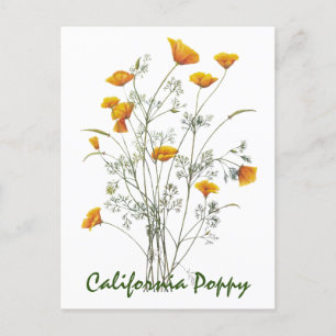 Groen geel Californië Poppy Waterverf schilderen  Briefkaart
