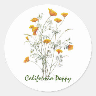 Groen geel Californië Poppy Waterverf schilderen Ronde Sticker