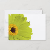 Groen Geel Elegante Gerber Bruiloft Uitnodiging (Achterkant)