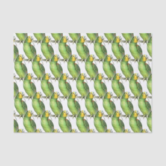 Groen & Geel Exotisch  Papegaaienpatroon Tissuepapier (Voorkant)