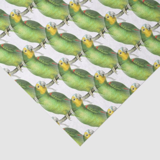 Groen & Geel Exotisch  Papegaaienpatroon Tissuepapier (Detail)