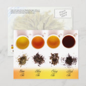Groen, Geel, Oolong en Zwart thee Briefkaart (Voorkant / Achterkant)