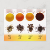 Groen, Geel, Oolong en Zwart thee Briefkaart (Voorkant)