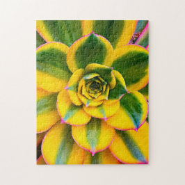 Groen Geel Roze Cactus Foto Mooi Close Up Legpuzzel