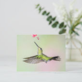 Groen gekruide briljante vogelvlucht briefkaart (Staand voorkant)