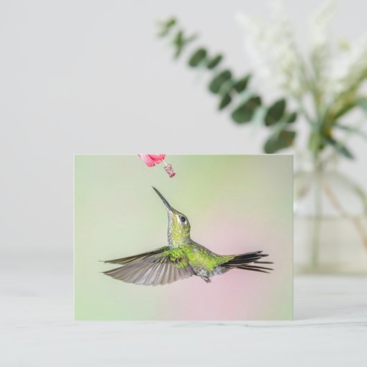 Groen gekruide briljante vogelvlucht briefkaart (Staand voorkant)