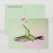 Groen gekruide briljante vogelvlucht briefkaart (Voorkant / Achterkant)