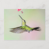 Groen gekruide briljante vogelvlucht briefkaart (Voorkant)