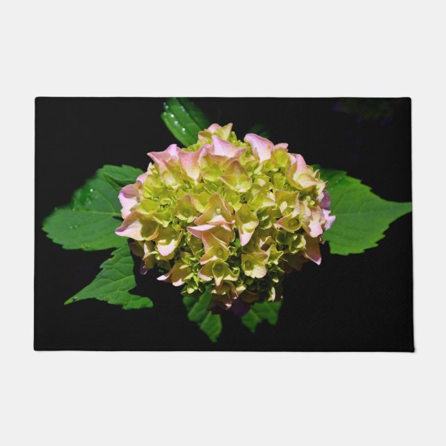 Groen gele roze Hydrangeenroze bloem Deurmat (Voorkant)