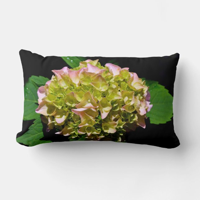 Groen gele roze Hydrangeenroze bloem Kussen (Voorkant)