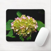 Groen gele roze Hydrangeenroze bloem Muismat (Met muis)