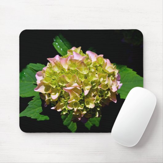 Groen gele roze Hydrangeenroze bloem Muismat (Met muis)