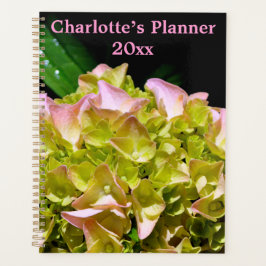 Groen gele roze Hydrangeenroze bloem Planner