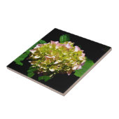 Groen gele roze Hydrangeenroze bloem Tegeltje (Zijkant)