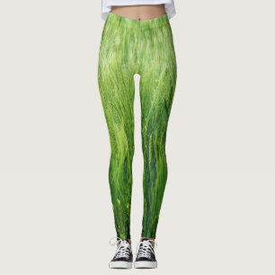 Groen gersteveld, voorjaarsclose-up. leggings