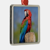 Groen gevleugelde ara neergestreken metalen ornament (Rechts)