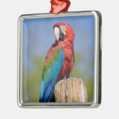 Groen gevleugelde ara neergestreken metalen ornament (Links)