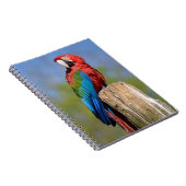 Groen gevleugelde ara neergestreken notitieboek (Rechterzijde)