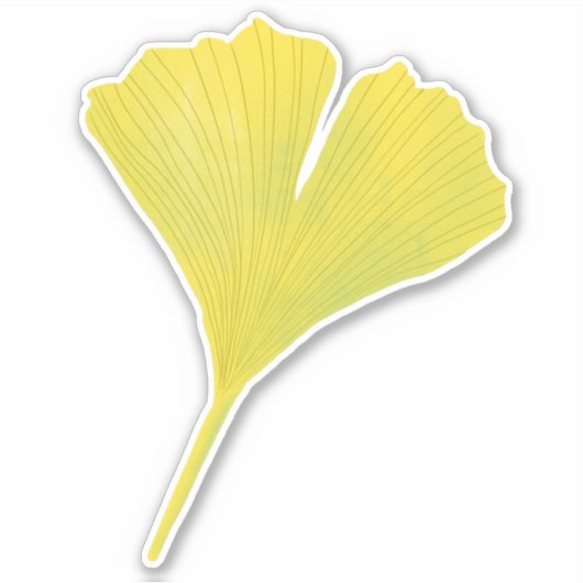Groen gingko Leaf Natuur Lover Botanisch Patroon Sticker (Voorkant)
