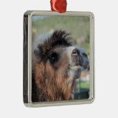 Groen gladmaken van het Ornament van Camel (Rechts)