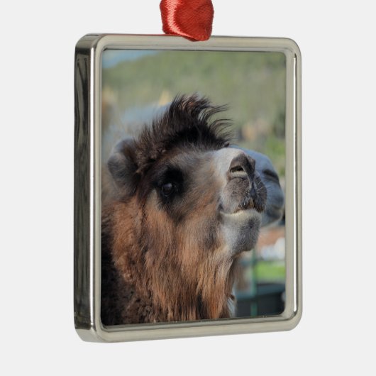 Groen gladmaken van het Ornament van Camel (Rechts)