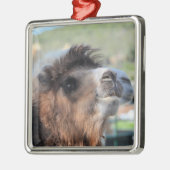 Groen gladmaken van het Ornament van Camel (Links)