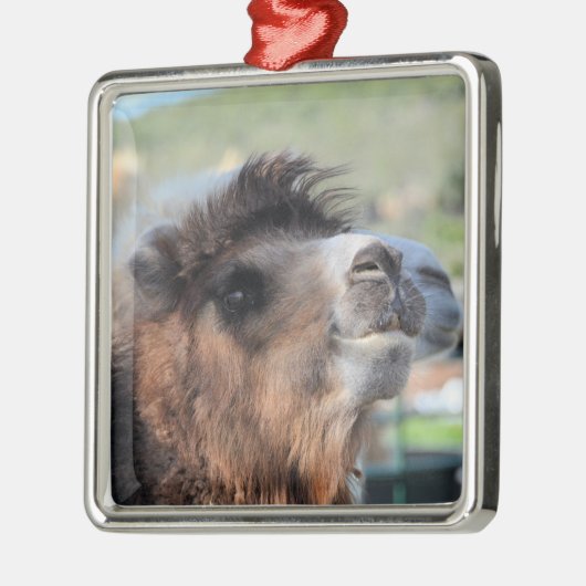 Groen gladmaken van het Ornament van Camel (Links)
