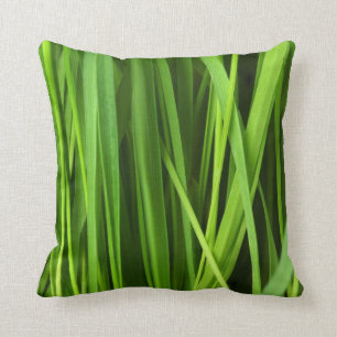 Groen gras achtergrond kussen