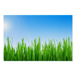 Groen Gras Blauwe Lucht Landschap-10826 Perfect Poster