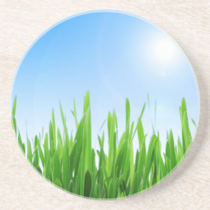 Groen gras Blauwe lucht Landschap-10826 Zandsteen Onderzetter